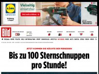 Bild zum Artikel: Die Nächte der Perseiden - Bis zu 100 Sternschnuppen pro Stunde!