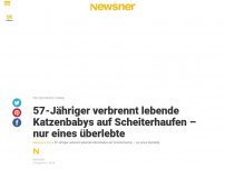 Bild zum Artikel: 57-Jähriger verbrennt lebende Katzenbabys auf Scheiterhaufen – nur eines überlebte