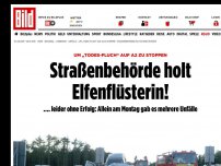 Bild zum Artikel: „Todes-Fluch“ auf A2 - Gaga-Behörde holt Elfenflüsterin!