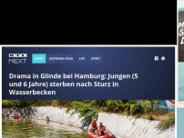 Bild zum Artikel: Drama in Glinde bei Hamburg: Jungen (5 und 6 Jahre) sterben nach Sturz in Wasserbecken