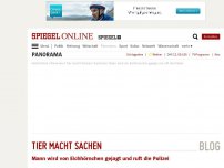 Bild zum Artikel: Tier macht Sachen: Mann wird von Eichhörnchen gejagt und ruft die Polizei