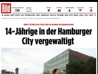 Bild zum Artikel: Täter zog sie in Hauseingang - Sexueller Übergriff auf 14-Jährige in der Hamburger City 