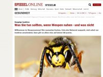 Bild zum Artikel: Hungrige Insekten: Was Sie tun sollten, wenn Wespen nahen - und was nicht