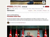 Bild zum Artikel: Türkei in der Wirtschaftskrise: Präsident ohne Plan