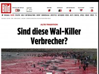 Bild zum Artikel: Alte Tradition - Sind diese Wal-Killer Verbrecher?