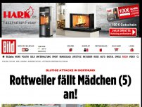 Bild zum Artikel: Blutige Attacke - Rottweiler fällt Mädchen (5) an!