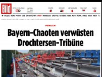 Bild zum Artikel: Peinlich! - Bayern-Chaoten verwüsten Drochtersen-Tribüne