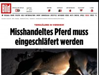 Bild zum Artikel: Tierquälerei in Viernheim - Pferd muss eingeschläfert werden