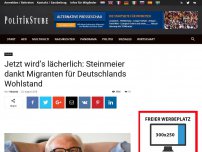 Bild zum Artikel: Jetzt wird’s lächerlich: Steinmeier dankt Migranten für Deutschlands Wohlstand