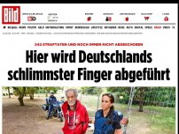Bild zum Artikel: Niemand schiebt ihn ab - Hier wird Deutschlands schlimmster Finger abgeführt