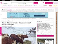 Bild zum Artikel: Wettersturz in Österreich: Bis zu 40 Zentimeter Neuschnee auf einigen Bergen