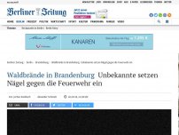 Bild zum Artikel: Waldbrände in Brandenburg : Unbekannte setzen Nägel gegen die Feuerwehr ein