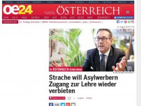Bild zum Artikel: Strache will Asylwerbern Zugang zur Lehre wieder verbieten
