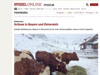 Bild zum Artikel: Wettersturz: Schnee in Bayern und Österreich