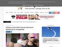Bild zum Artikel: 800 Mann starke SOKO Chemnitz übernimmt Aufklärung von Tötungsdelikt