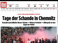 Bild zum Artikel: Demonstrationen in Chemnitz - Hitlergruß ... und die Polizei schreitet nicht ein