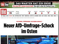 Bild zum Artikel: SAchsen, Thüringen, Sachsen-Anhalt - Neuer AfD-Umfrage-Schock im Osten