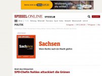 Bild zum Artikel: Streit über Klimaschutz: SPD-Chefin Nahles attackiert die Grünen