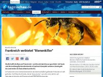 Bild zum Artikel: Frankreich verbietet 'Bienenkiller'