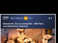 Bild zum Artikel: Dänemark: Zoo zu verkaufen – 400 Tiere und Wohnhaus inklusive
