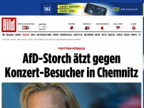 Bild zum Artikel: twitter-pöbelei - AfD-Storch ätzt gegen Konzert-Besucher in Chemnitz