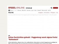 Bild zum Artikel: AfD: Intime Nachrichten geleakt - Poggenburg nennt eigene Partei 'Rattenloch'