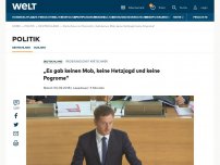 Bild zum Artikel: „Es gab keinen Mob, keine Hetzjagd und keine Pogrome“