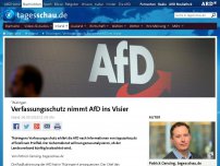 Bild zum Artikel: Thüringen: Verfassungsschutz nimmt AfD ins Visier