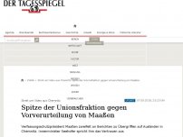Bild zum Artikel: Verfassungsschutzchef sieht keinen Beweis für Hetzjagd in Chemnitz