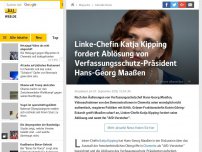 Bild zum Artikel: Linke-Chefin Katja Kipping fordert Ablösung von Verfassungsschutz-Präsident Hans-Georg Maaßen