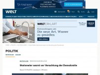 Bild zum Artikel: Steinmeier warnt vor Verachtung der Demokratie