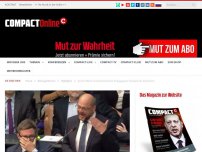 Bild zum Artikel: Syrien: Martin Schulz bezeichnet Kriegsgegner Gauland als Faschisten