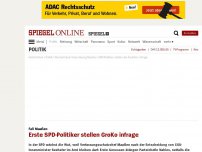Bild zum Artikel: Fall Maaßen: Erste SPD-Politiker stellen GroKo infrage