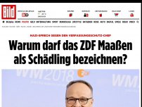 Bild zum Artikel: Nazi-Sprech - Warum darf das ZDF Maaßen als Schädling bezeichnen?