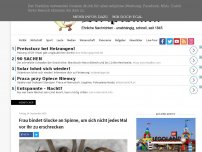 Bild zum Artikel: Frau bindet Glocke an Spinne, um sich nicht jedes Mal vor ihr zu erschrecken