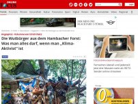 Bild zum Artikel: Angespitzt - Kolumne von Ulrich Reitz - Die Wutbürger aus dem Hambacher Forst: Was man alles darf, wenn man „Klima-Aktivist“ ist