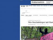 Bild zum Artikel: Kommentar zum Hambacher Forst: Wie Reichsbürger mit Rastas