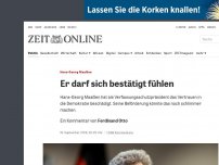 Bild zum Artikel: Hans-Georg Maaßen: Er darf sich bestätigt fühlen