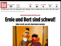 Bild zum Artikel: Sesamstraßen-Enthüllung - Ernie und Bert sind schwul!