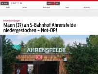 Bild zum Artikel: Mann (37) an S-Bahnhof Ahrensfelde niedergestochen – Not-OP!