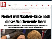 Bild zum Artikel: SPD-Chefin will neuen maasen-deal - Der nächste Nahles-Hammer!