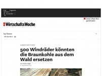 Bild zum Artikel: Hambacher Forst: 500 Windräder könnten die Braunkohle aus dem Wald ersetzen