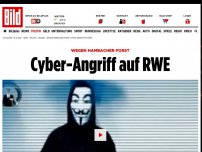 Bild zum Artikel: Wegen Hambacher Forst - Cyber-Angriff auf RWE