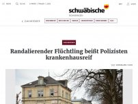 Bild zum Artikel: Flüchtling beißt Polisten krankenhausreif