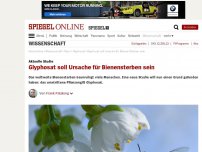 Bild zum Artikel: Aktuelle Studie: Glyphosat soll Ursache für Bienensterben sein