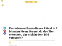 Bild zum Artikel: Fast niemand kann dieses Rätsel in 2 Minuten lösen: Kannst du das Tier erkennen, das sich in dem Bild versteckt?