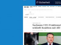 Bild zum Artikel: Sachsens CDU-Fraktionschef schließt eine Koalition mit der AfD nicht aus