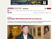Bild zum Artikel: Jörn Kruse: Hamburger AfD-Fraktionschef tritt aus Partei aus