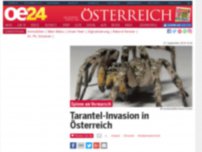 Bild zum Artikel: Tarantel-Invasion in Österreich aus