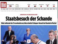 Bild zum Artikel: Erdogan in Deutschland - Staatsbesuch der Schande